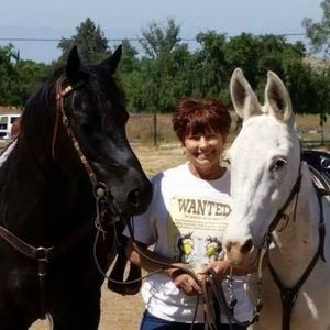 Meet your Posher, Susan